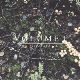 Pieces of 8: Volume 1