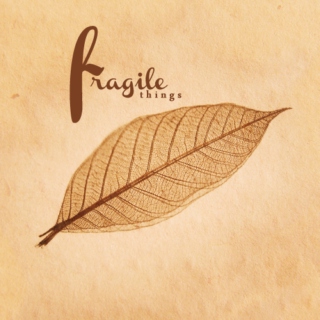 fragile things