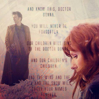 the doctor donna