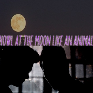 Howl at the Moon like an Animal {Steter Fanmix}