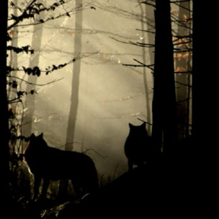 with the wild wolves around you.