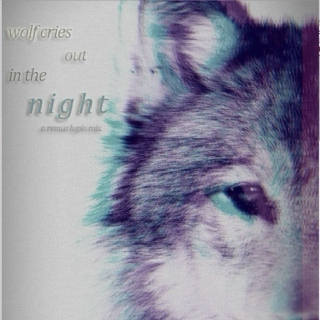 wolf cries out in the night;;