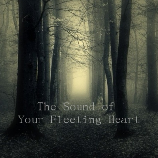 The Sound of Your Fleeting Heart