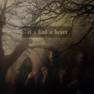 if i had a heart