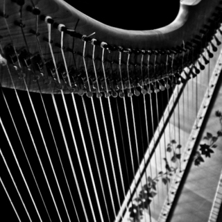 Harp sessions 2.