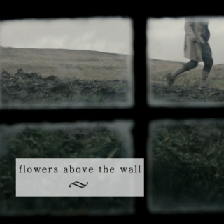 Flowers above the wall