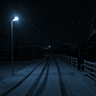 Snowy Nights