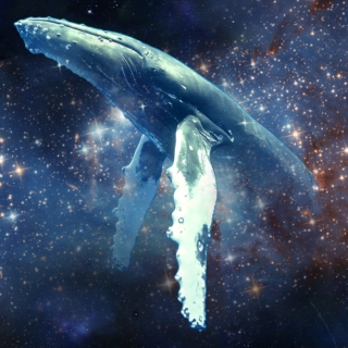 Spacewhale