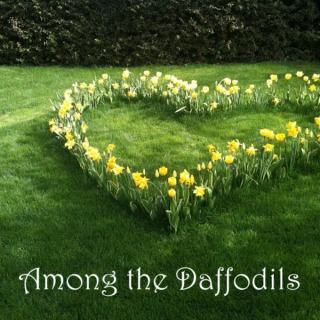 Among The Daffodils