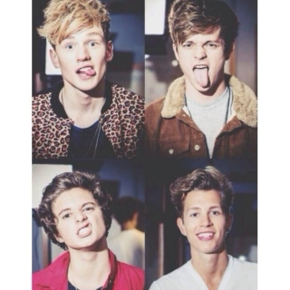 the vamps 