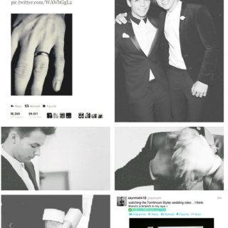 Louis and Harrys wedding 