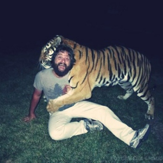 parties with tigers