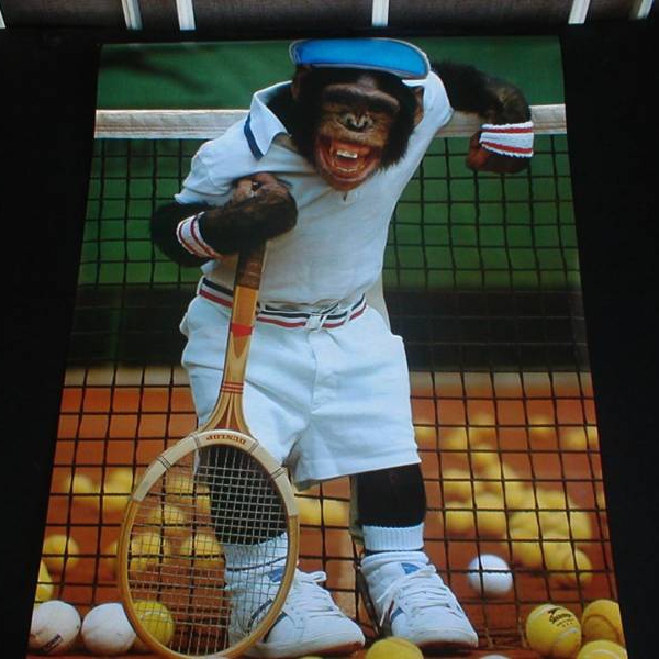 Tennis_monkey_poster-9591.jpg