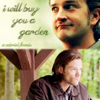 i will buy you a garden