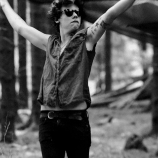 Hippie Harry