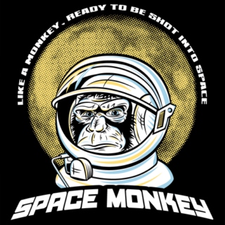 Extraterrestrial chosy chiller monkeys from outta space