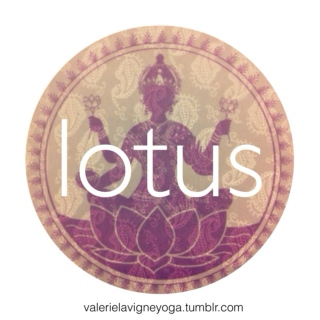 ~ lotus ~