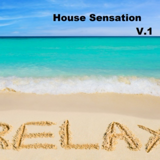 House Sensation V.1