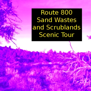 Route 800 Sand Wastes and Scrublands Scenic Tour