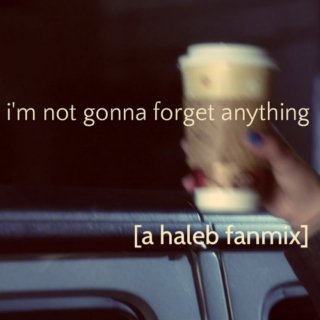i'm not gonna forget anything [a haleb fanmix]