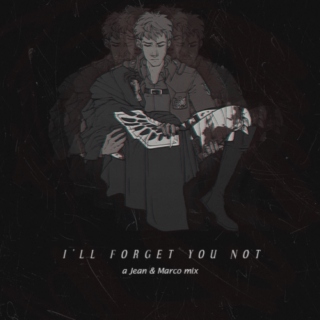 I'll Forget You Not