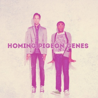 Homing Pigeon Genes [a Troy/Abed fanmix]