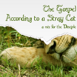 The Gospel According to a Stray Cat