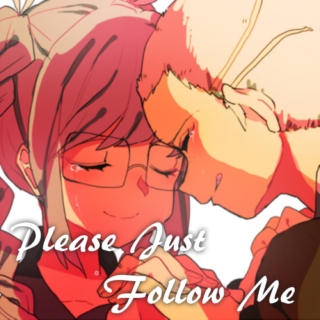 Please Just Follow Me
