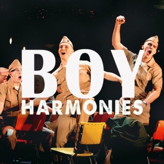 boy harmonies (✿◠‿◠)