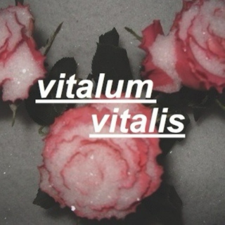 vitalum vitalis