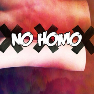 no homo