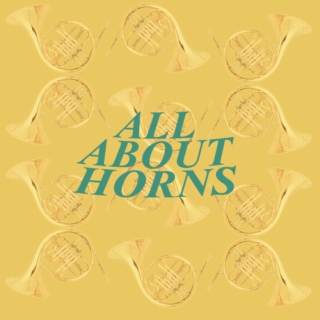 all about horns