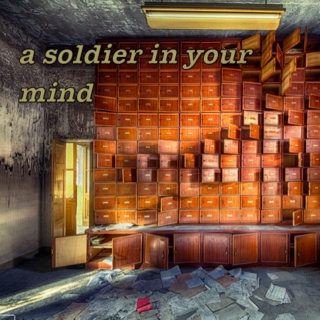 a soldier in your mind