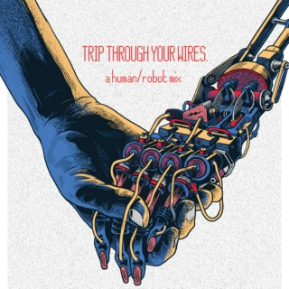 TRIP THROUGH YOUR WIRES.