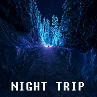 NIGHT TRIP