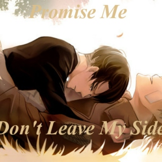 Promise me (Don't Leave My Side)