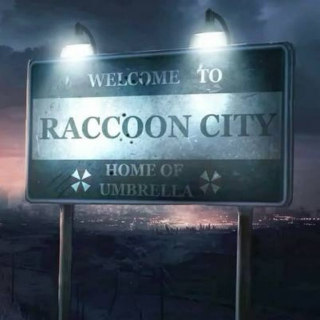 welcome to raccoon city