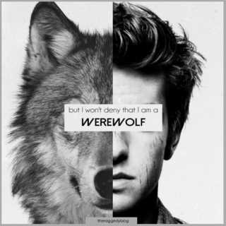 "But I won't deny that I am a werewolf."