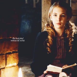 the book thief without the words