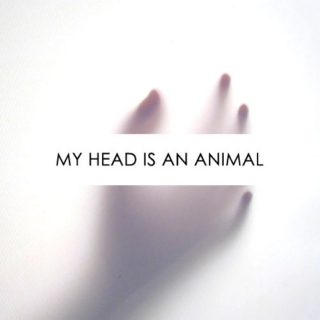 my head is an animal
