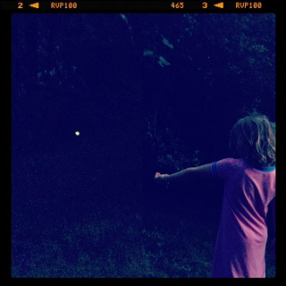 Fireflies Mingle