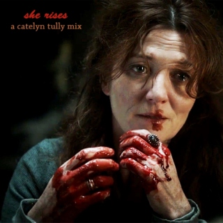 she rises: a catelyn tully