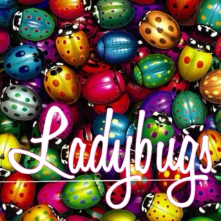Ladybugs: A Female Tribute To The Beatles