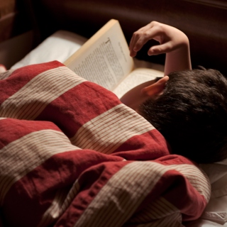 read | study | write | sleep