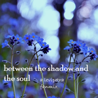 between the shadow and the soul
