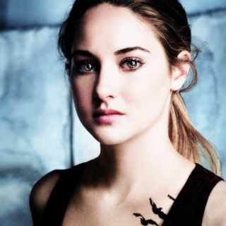 Divergent Trilogy: Allegiant Fanmade Playlist