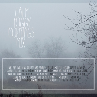 Calm Foggy Morning Mix