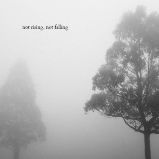not rising, not falling