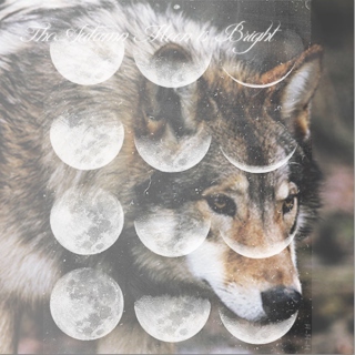 The Autumn Moon is Bright (Werewolf Mix)
