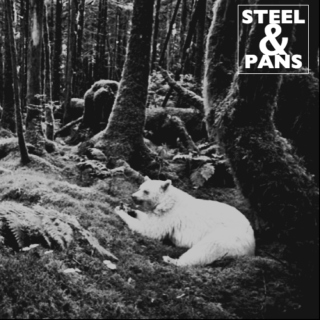 Steel & Pans